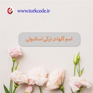 اسم گلها در ترکی استانبولی